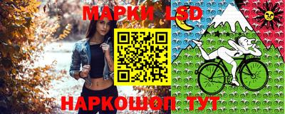 твердый Ставрополь