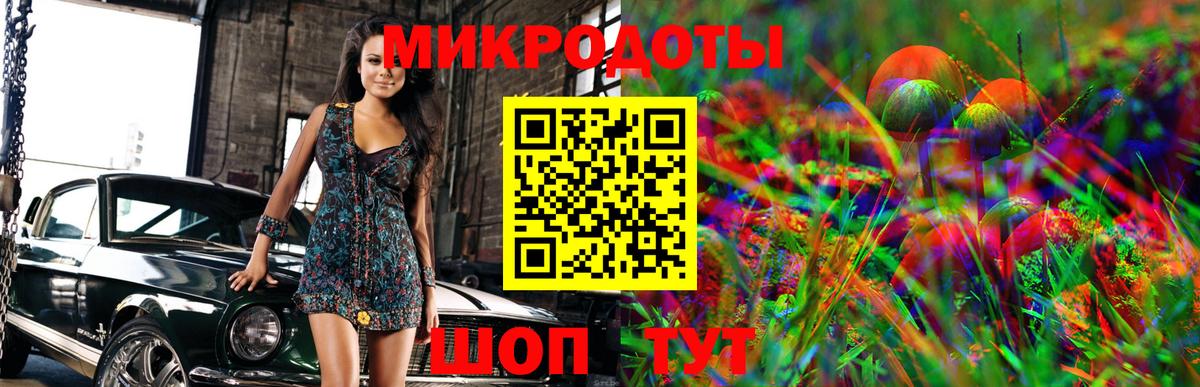 Псилоцибиновые грибы Psilocybe Нижний Тагил