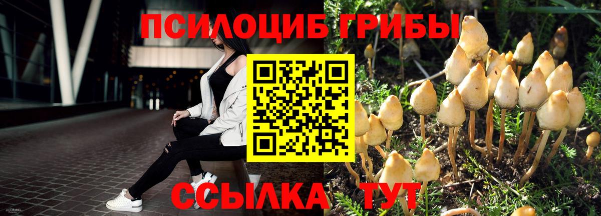 Галлюциногенные грибы Magic Shrooms  Галлюциногенные грибы Cubensis  Нижний Тагил  Вход с VPN 